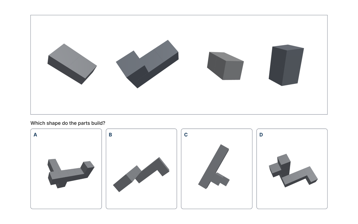 Example from the Shape Assembly Test