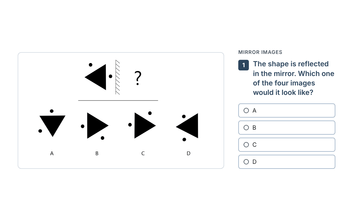 Example from the Spatial Reasoning Test