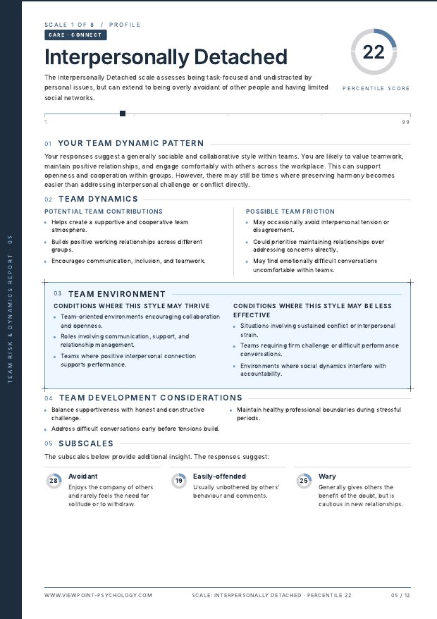A page from the sample Team Risk & Dynamics Report