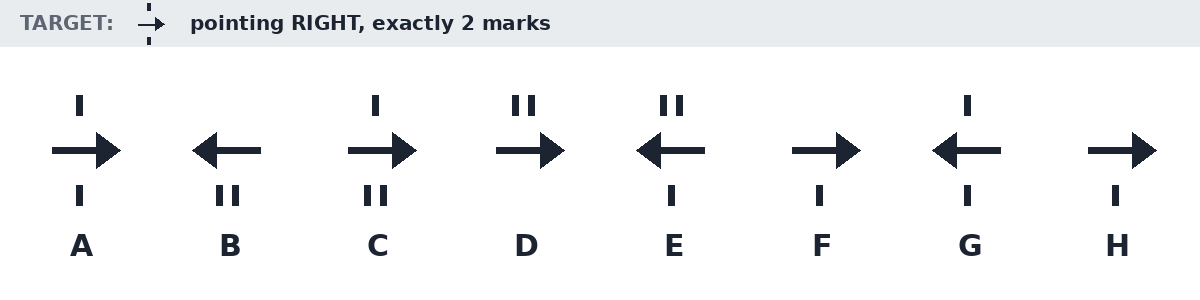 Example from the Symbol Checking Test